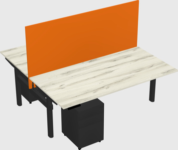 Shared electric desk