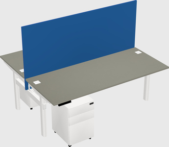 Shared electric desk