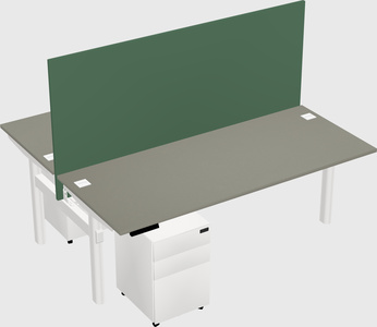 Shared electric desk