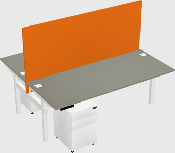 Shared electric desk