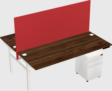 Shared electric desk