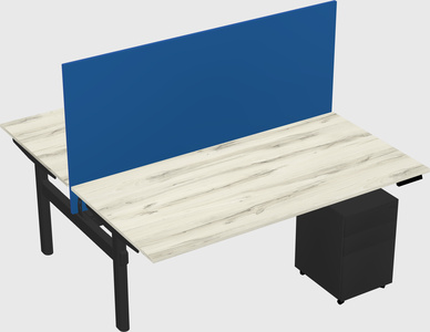 Shared electric desk