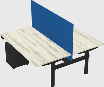 Shared electric desk
