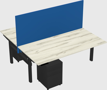 Shared electric desk
