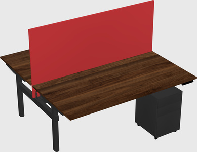 Shared electric desk