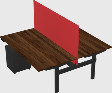 Shared electric desk