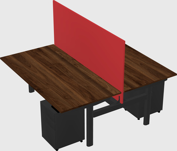 Shared electric desk