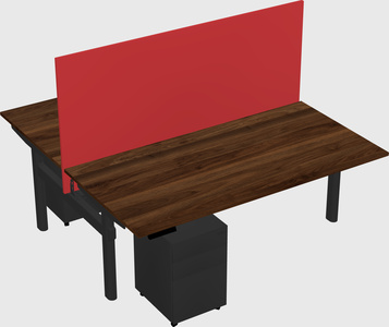 Shared electric desk