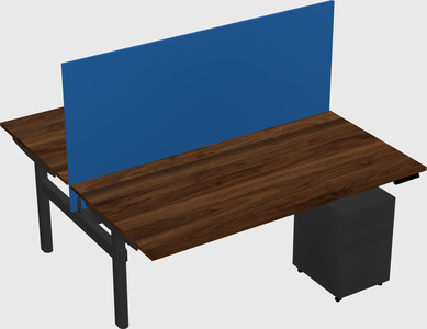 Shared electric desk