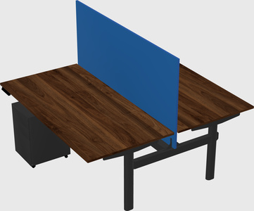 Shared electric desk