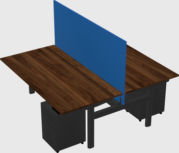 Shared electric desk