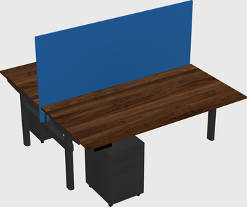 Shared electric desk
