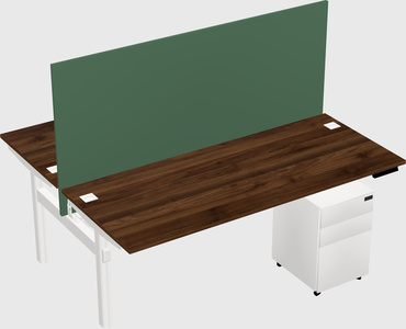 Shared electric desk