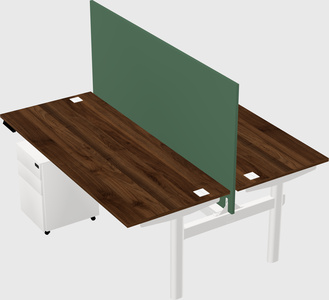 Shared electric desk