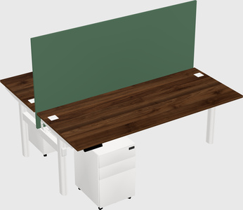 Shared electric desk