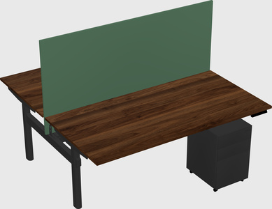 Shared electric desk