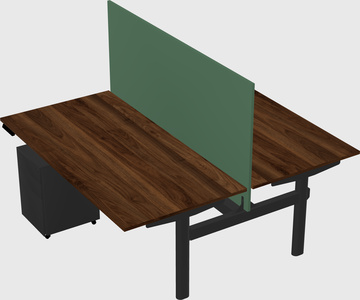 Shared electric desk