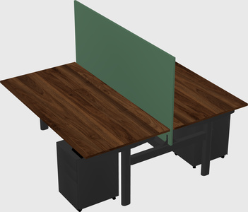Shared electric desk