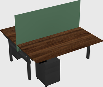 Shared electric desk