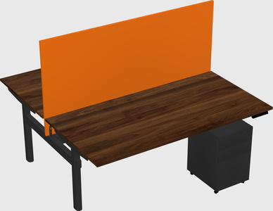 Shared electric desk