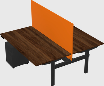 Shared electric desk