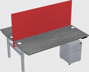 Shared electric desk