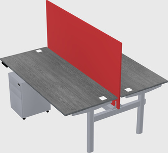 Shared electric desk
