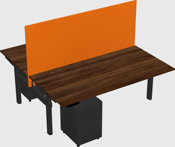 Shared electric desk