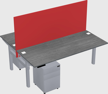 Shared electric desk