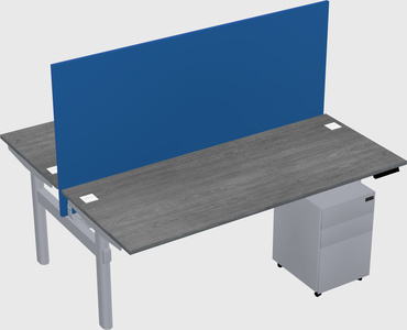 Shared electric desk