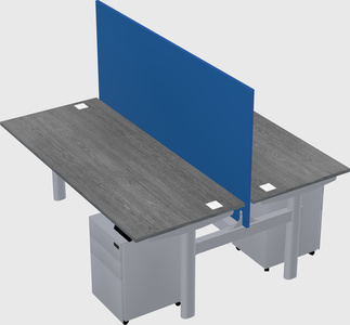 Shared electric desk