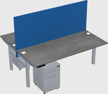 Shared electric desk