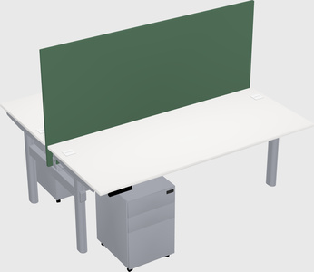 Shared electric desk