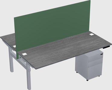 Shared electric desk
