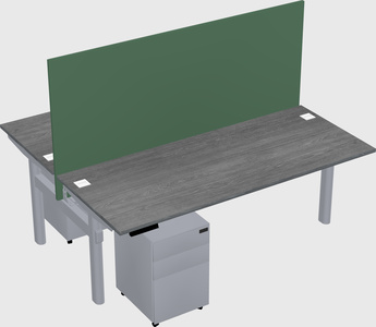 Shared electric desk