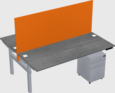 Shared electric desk