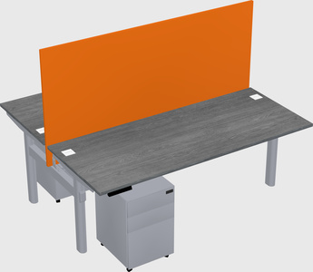 Shared electric desk