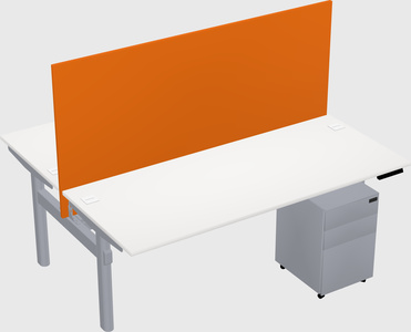 Shared electric desk