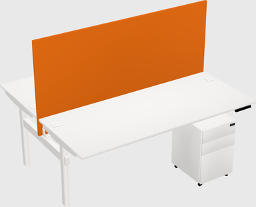 Shared electric desk