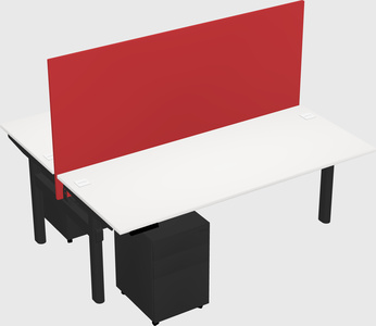 Shared electric desk