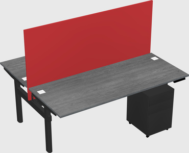 Shared electric desk