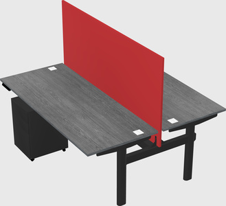 Shared electric desk