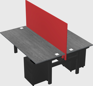 Shared electric desk