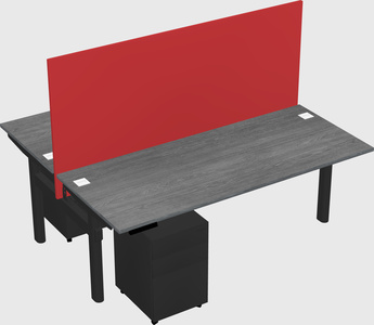 Shared electric desk