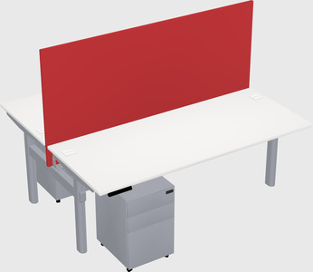 Shared electric desk