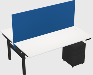 Shared electric desk