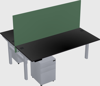 Shared electric desk