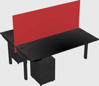 Shared electric desk