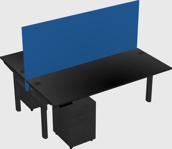 Shared electric desk