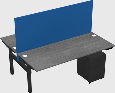Shared electric desk